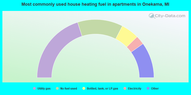 Most commonly used house heating fuel in apartments in Onekama, MI