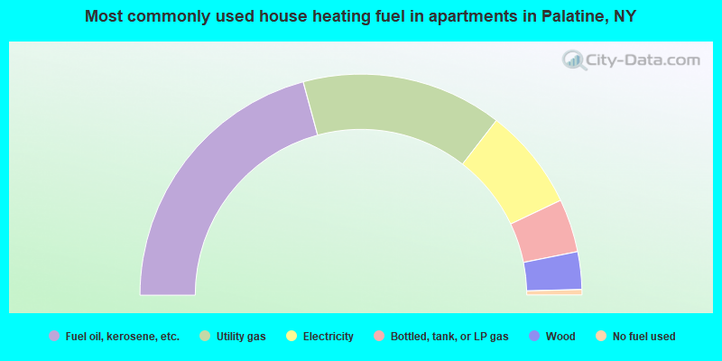 Most commonly used house heating fuel in apartments in Palatine, NY