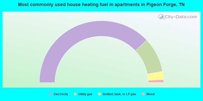 Most commonly used house heating fuel in apartments in Pigeon Forge, TN