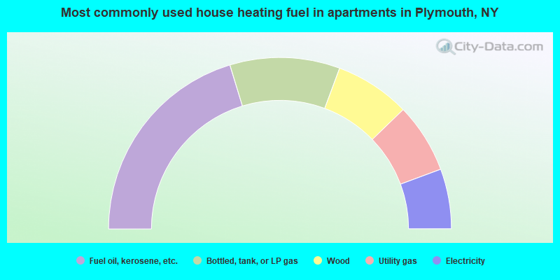 Most commonly used house heating fuel in apartments in Plymouth, NY