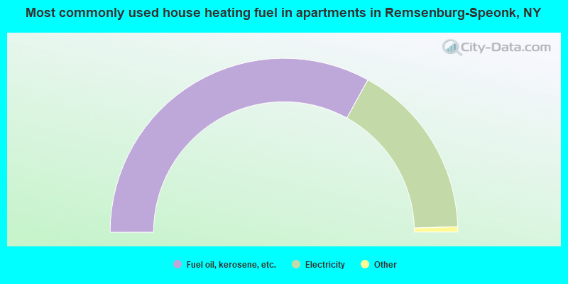 Most commonly used house heating fuel in apartments in Remsenburg-Speonk, NY