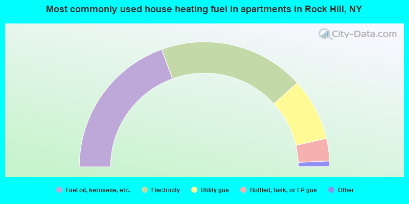 Most commonly used house heating fuel in apartments in Rock Hill, NY