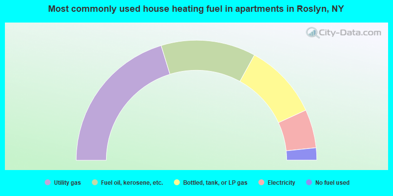 Most commonly used house heating fuel in apartments in Roslyn, NY