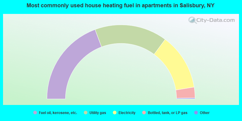 Most commonly used house heating fuel in apartments in Salisbury, NY