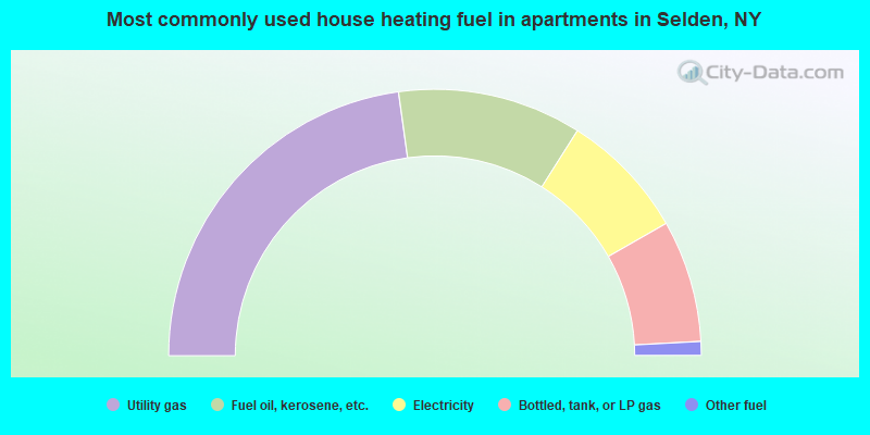 Most commonly used house heating fuel in apartments in Selden, NY