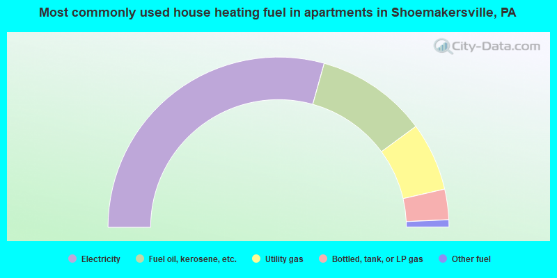 Most commonly used house heating fuel in apartments in Shoemakersville, PA