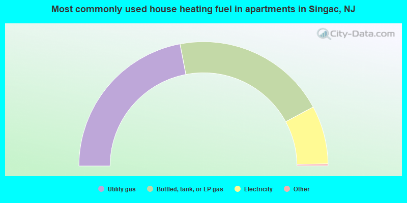 Most commonly used house heating fuel in apartments in Singac, NJ