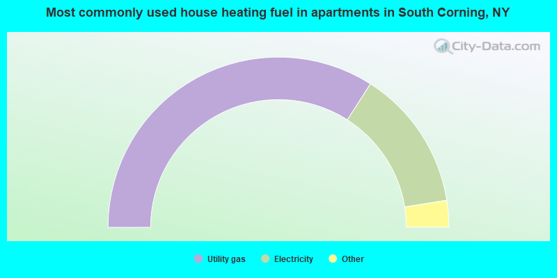 Most commonly used house heating fuel in apartments in South Corning, NY