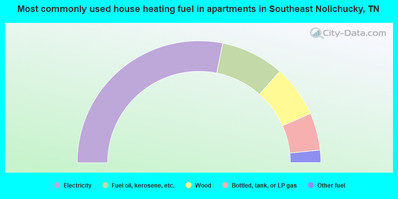 Most commonly used house heating fuel in apartments in Southeast Nolichucky, TN
