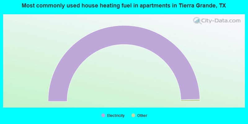 Most commonly used house heating fuel in apartments in Tierra Grande, TX