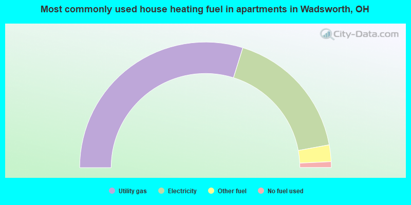 Most commonly used house heating fuel in apartments in Wadsworth, OH