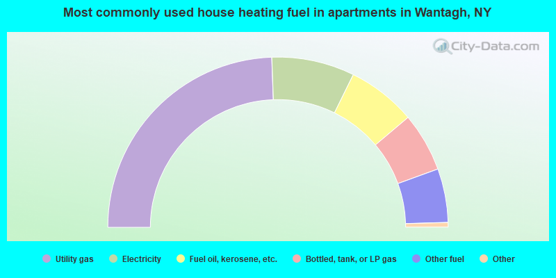 Most commonly used house heating fuel in apartments in Wantagh, NY