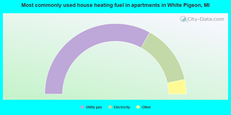 Most commonly used house heating fuel in apartments in White Pigeon, MI