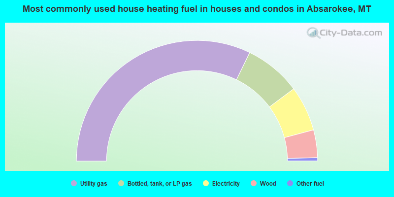 Most commonly used house heating fuel in houses and condos in Absarokee, MT