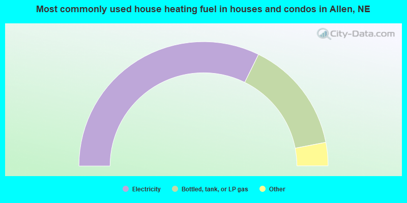 Most commonly used house heating fuel in houses and condos in Allen, NE