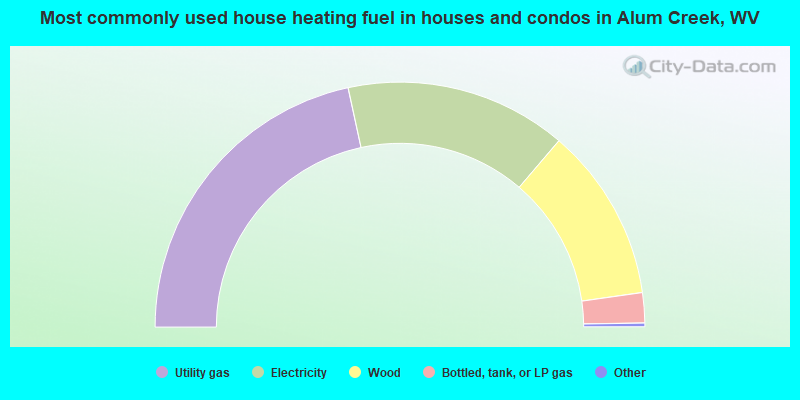 Most commonly used house heating fuel in houses and condos in Alum Creek, WV