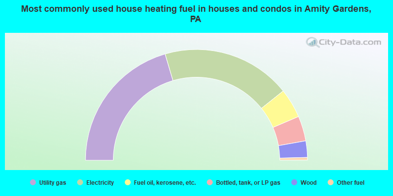 Most commonly used house heating fuel in houses and condos in Amity Gardens, PA