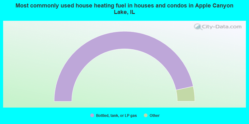 Most commonly used house heating fuel in houses and condos in Apple Canyon Lake, IL
