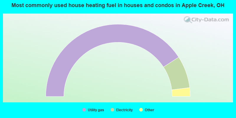 Most commonly used house heating fuel in houses and condos in Apple Creek, OH