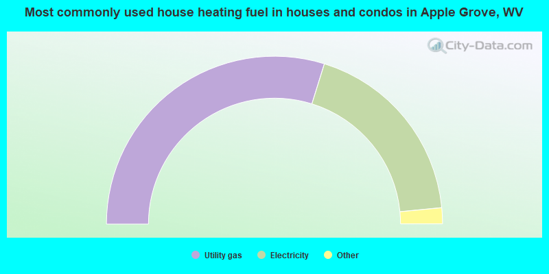 Most commonly used house heating fuel in houses and condos in Apple Grove, WV