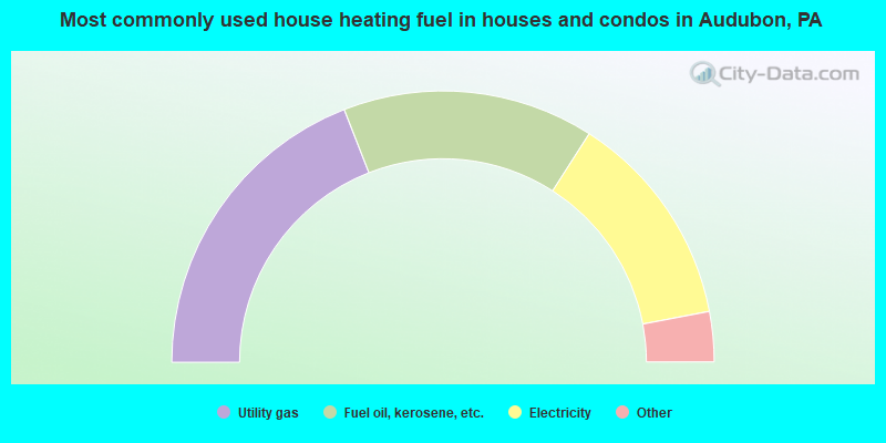 Most commonly used house heating fuel in houses and condos in Audubon, PA