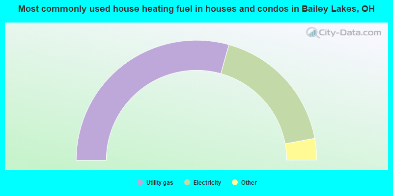Most commonly used house heating fuel in houses and condos in Bailey Lakes, OH