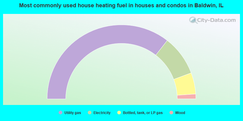 Most commonly used house heating fuel in houses and condos in Baldwin, IL