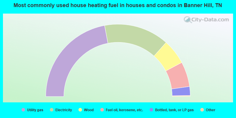 Most commonly used house heating fuel in houses and condos in Banner Hill, TN
