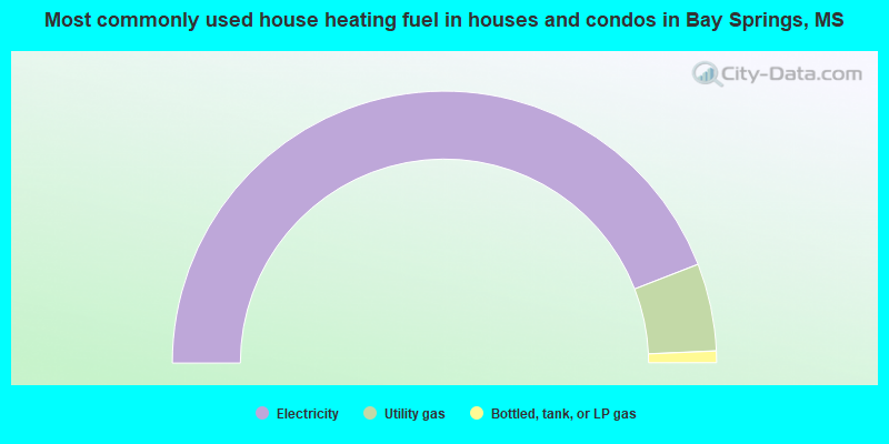 Most commonly used house heating fuel in houses and condos in Bay Springs, MS