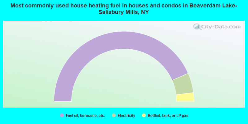Most commonly used house heating fuel in houses and condos in Beaverdam Lake-Salisbury Mills, NY