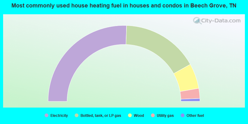 Most commonly used house heating fuel in houses and condos in Beech Grove, TN