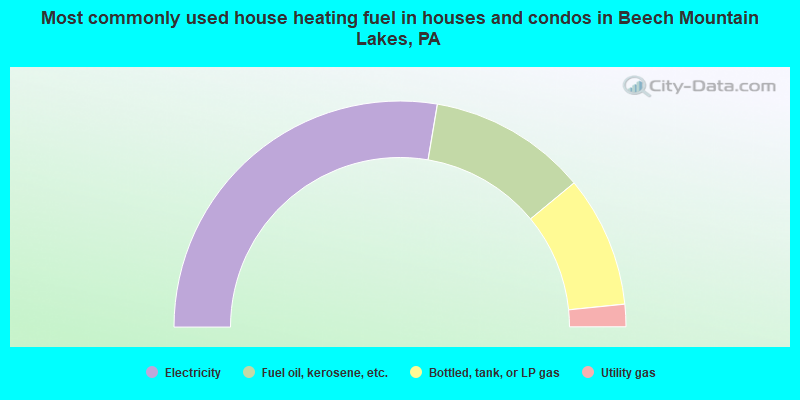 Most commonly used house heating fuel in houses and condos in Beech Mountain Lakes, PA