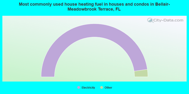 Most commonly used house heating fuel in houses and condos in Bellair-Meadowbrook Terrace, FL