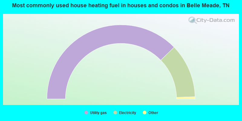 Most commonly used house heating fuel in houses and condos in Belle Meade, TN