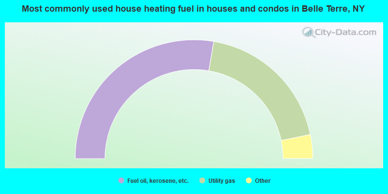 Most commonly used house heating fuel in houses and condos in Belle Terre, NY