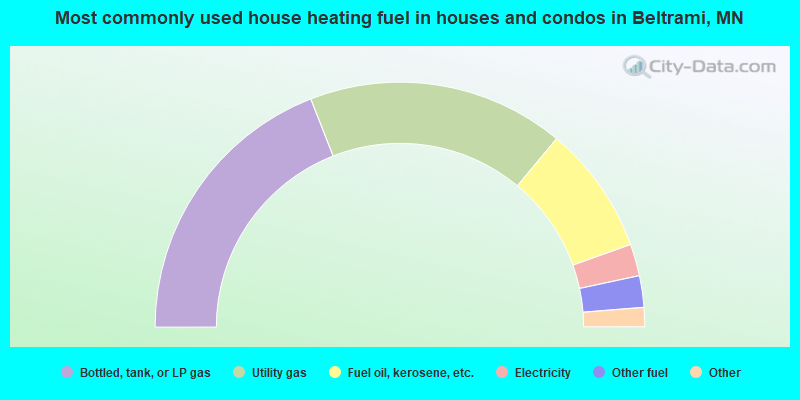 Most commonly used house heating fuel in houses and condos in Beltrami, MN