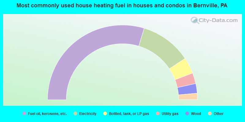 Most commonly used house heating fuel in houses and condos in Bernville, PA