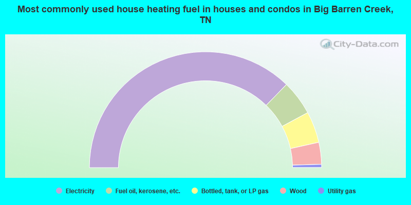 Most commonly used house heating fuel in houses and condos in Big Barren Creek, TN