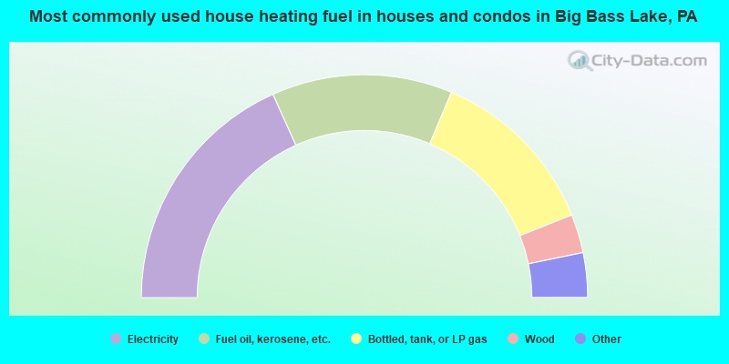 Most commonly used house heating fuel in houses and condos in Big Bass Lake, PA
