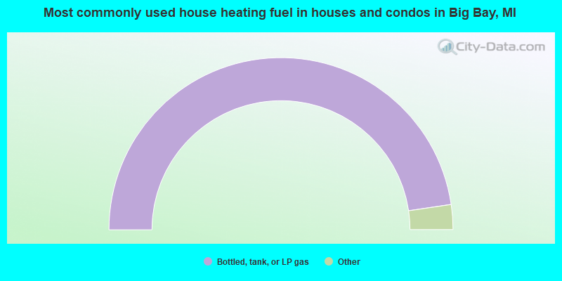 Most commonly used house heating fuel in houses and condos in Big Bay, MI