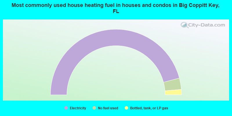 Most commonly used house heating fuel in houses and condos in Big Coppitt Key, FL