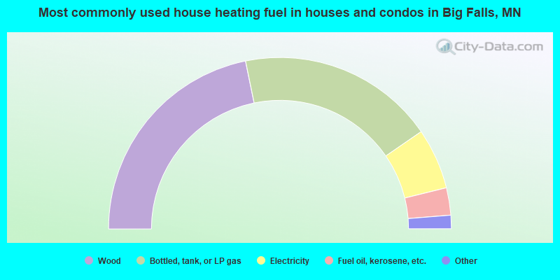 Most commonly used house heating fuel in houses and condos in Big Falls, MN