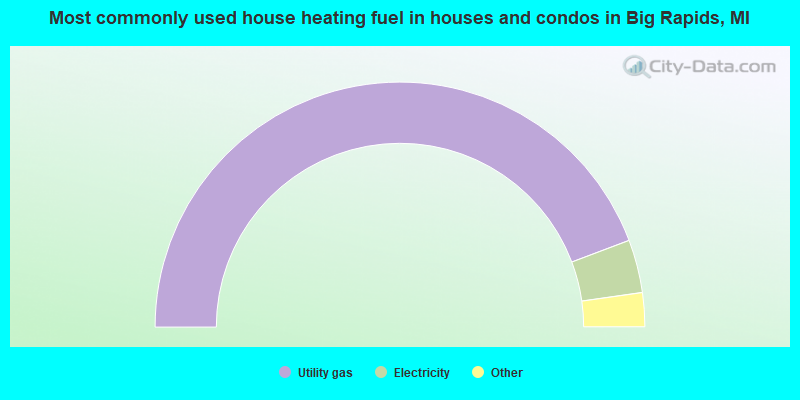 Most commonly used house heating fuel in houses and condos in Big Rapids, MI