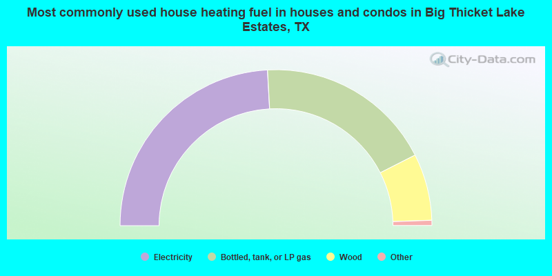 Most commonly used house heating fuel in houses and condos in Big Thicket Lake Estates, TX