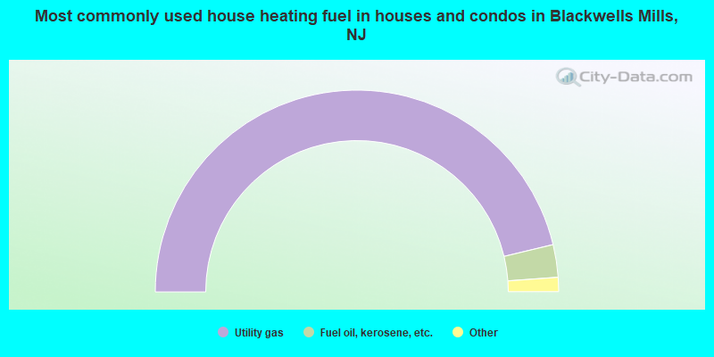 Most commonly used house heating fuel in houses and condos in Blackwells Mills, NJ