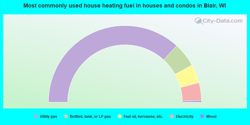 Most commonly used house heating fuel in houses and condos in Blair, WI