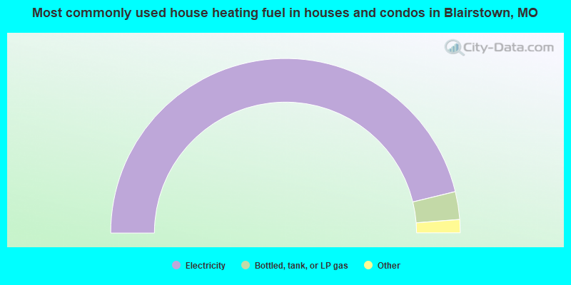 Most commonly used house heating fuel in houses and condos in Blairstown, MO