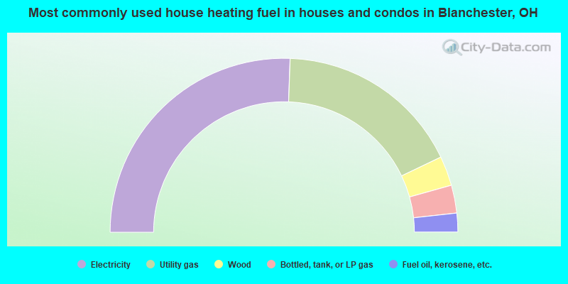 Most commonly used house heating fuel in houses and condos in Blanchester, OH