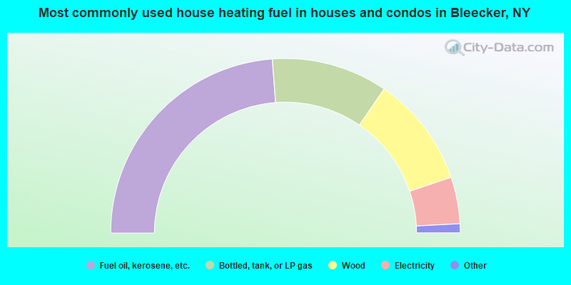 Most commonly used house heating fuel in houses and condos in Bleecker, NY