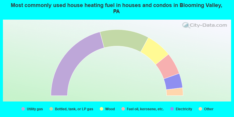 Most commonly used house heating fuel in houses and condos in Blooming Valley, PA